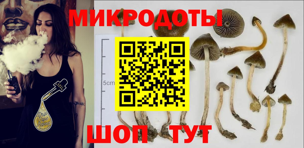 Псилоцибиновые грибы мухоморы Каменка