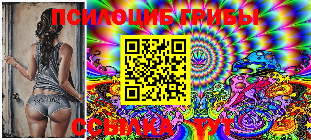 Каменка  сколько стоит  Вход с VPN  Галлюциногенные грибы Magic Shrooms 